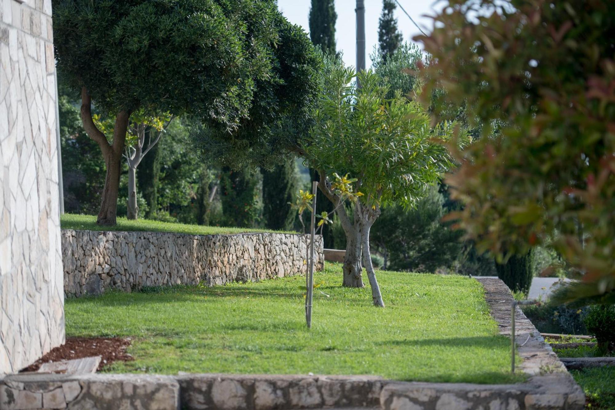 Apartments Mi&Ni Cavtat Zimmer foto